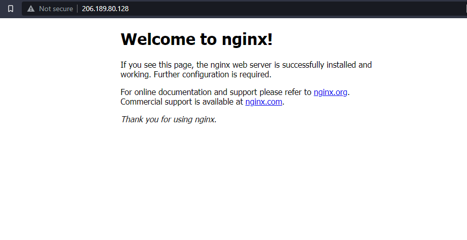 Default Nginx web server page