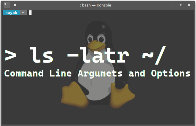 Linux Command Line Options and Arguments