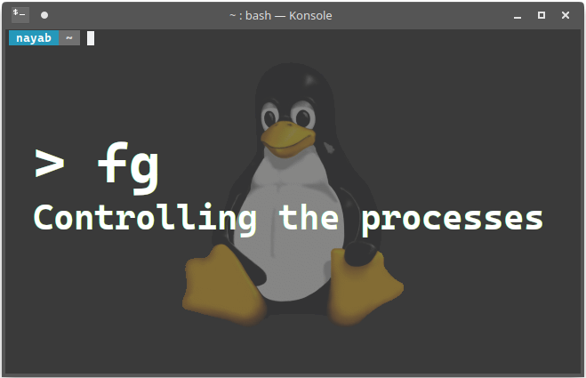 Controlling Linux Processes
