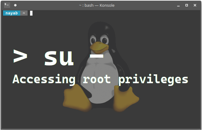 Accessing root privileges